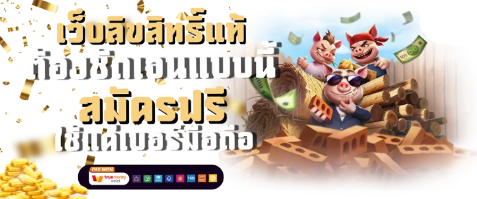 วอลเล็ตหมูเด้ง888